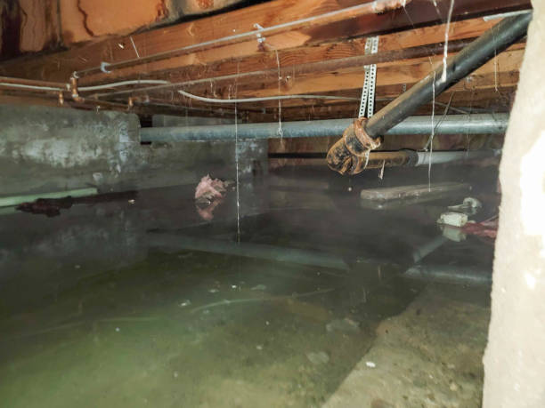 Best Water damage restoration near me  in Windham, OH