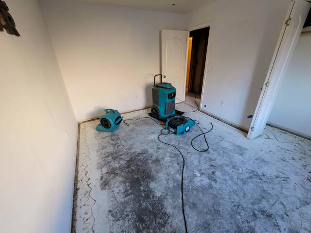 Best Water damage restoration near me  in Windham, OH
