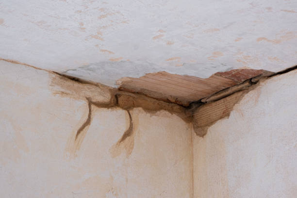 Best Ceiling water damage repair  in Windham, OH