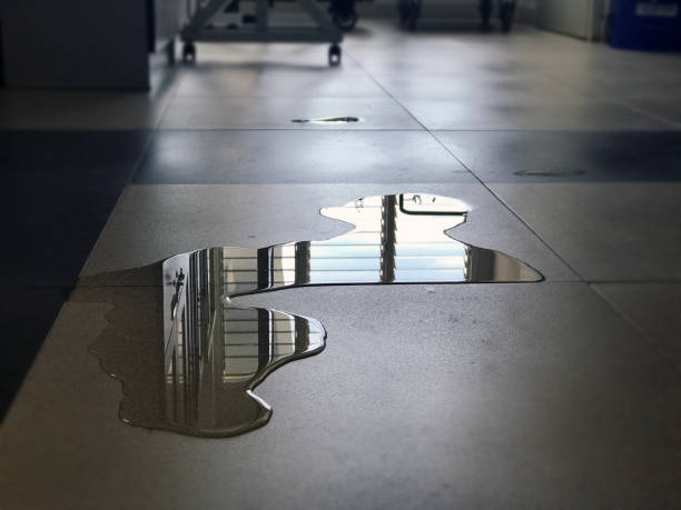 Best 24-hour water damage restoration  in Windham, OH