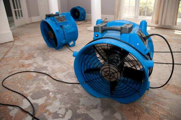 Best Flood restoration services  in Windham, OH