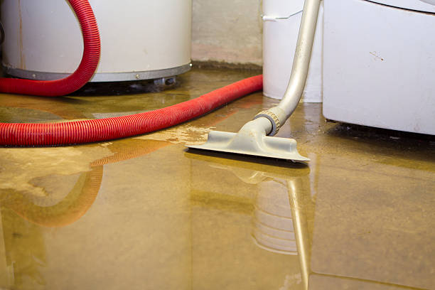 Best Sewage cleanup and water damage restoration  in Windham, OH