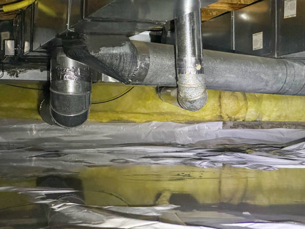Best Flooded house restoration  in Windham, OH